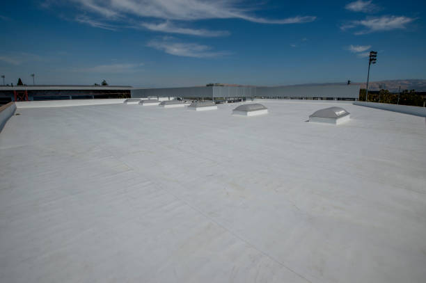Best Skylight Installation and Repair  in North Tustin, CA